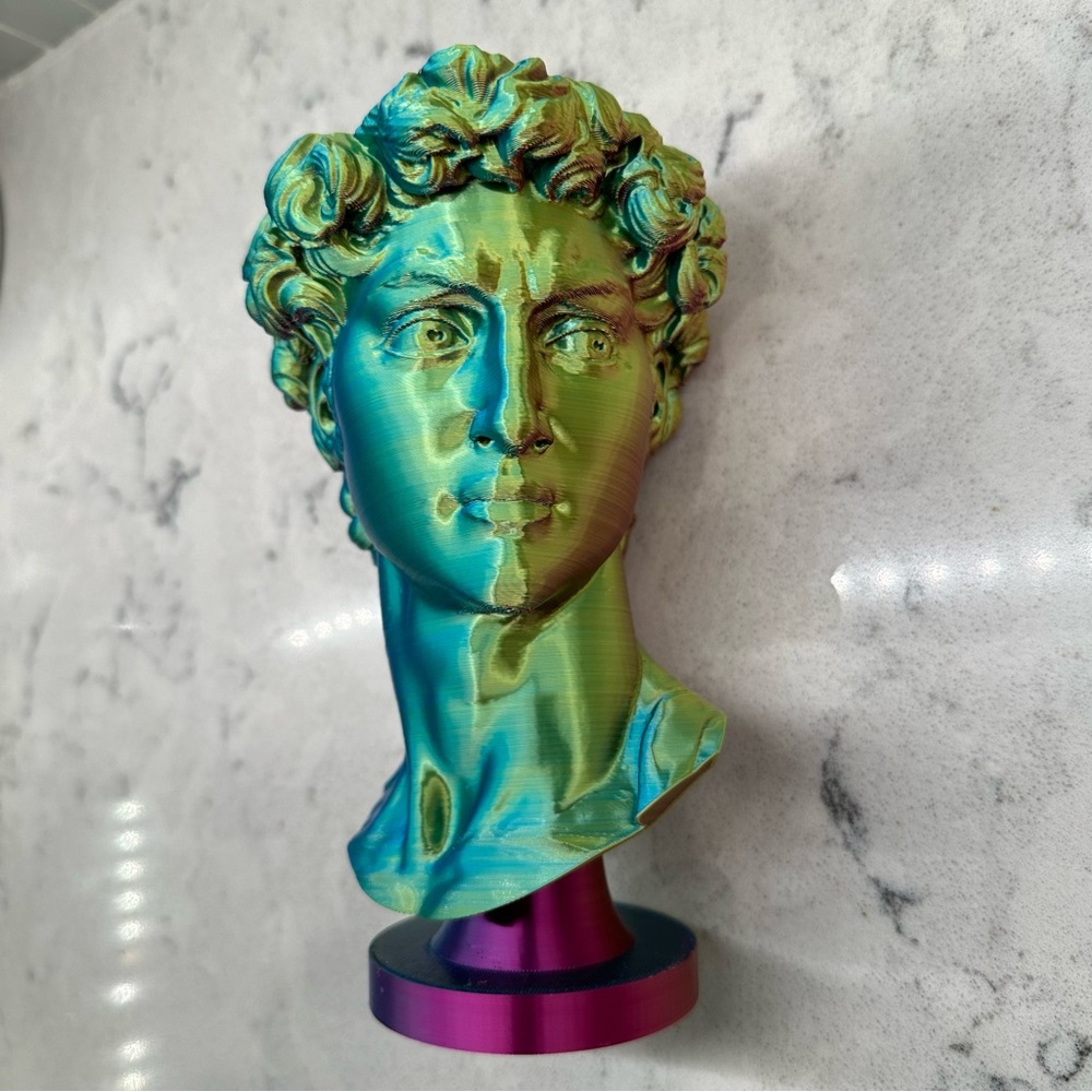 David’s Head Planter Pot - 3D Printed